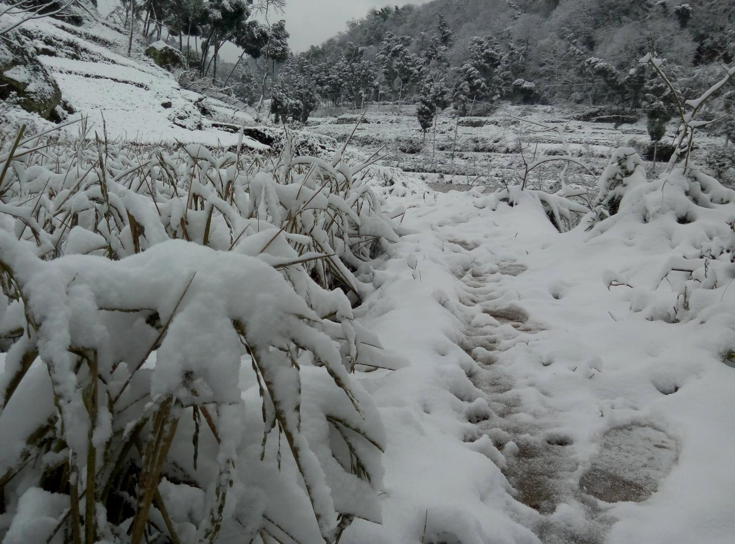 四川下雪