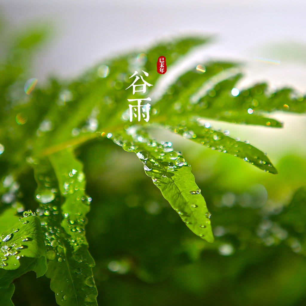 谷雨二十四节气风景ipad壁纸