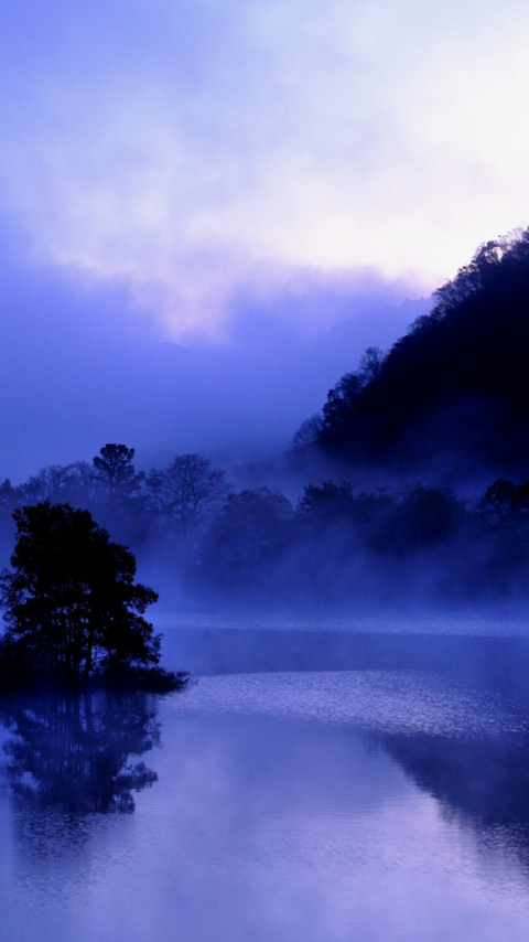 壁纸 风景 摄影 桌面 480_854 竖版 竖屏 手机