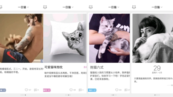 想不想做一名不用铲屎的铲屎官?-笔尖星球 - 有趣有用的数字生活