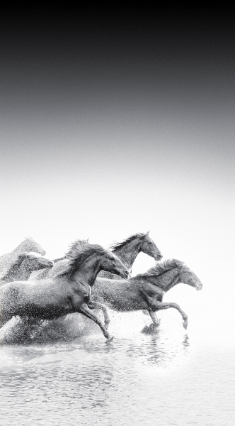 smartisan os 新增壁纸